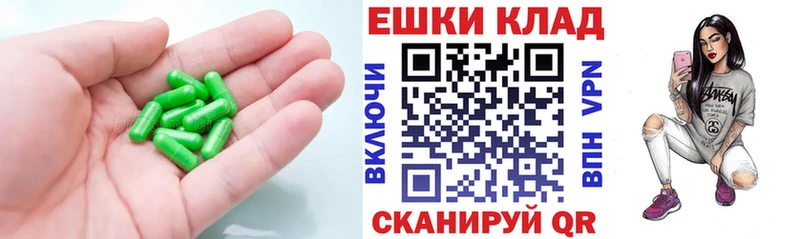 Ecstasy Philipp Plein  Купить  Давлеканово 
